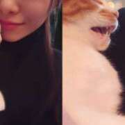 ヒメ日記 2024/12/14 22:17 投稿 高梨 ミセスの手ほどき