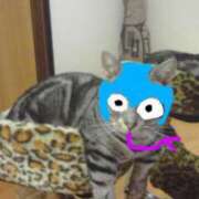 ヒメ日記 2025/01/11 19:35 投稿 高梨 ミセスの手ほどき