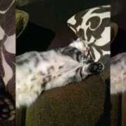 ヒメ日記 2025/01/12 21:00 投稿 高梨 ミセスの手ほどき