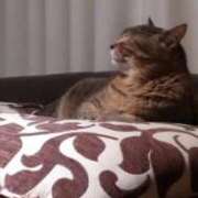 ヒメ日記 2025/01/18 00:14 投稿 高梨 ミセスの手ほどき