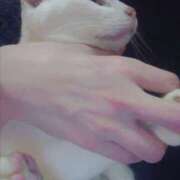 ヒメ日記 2025/01/18 20:13 投稿 高梨 ミセスの手ほどき