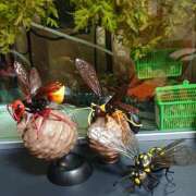 ヒメ日記 2025/02/05 23:01 投稿 高梨 ミセスの手ほどき