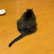 ヒメ日記 2025/02/09 20:34 投稿 高梨 ミセスの手ほどき