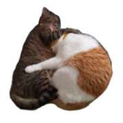 ヒメ日記 2025/02/19 23:02 投稿 高梨 ミセスの手ほどき