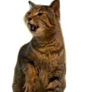 ヒメ日記 2025/02/22 00:01 投稿 高梨 ミセスの手ほどき