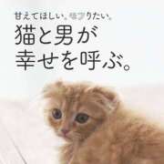 ヒメ日記 2025/03/04 01:07 投稿 高梨 ミセスの手ほどき