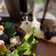 ヒメ日記 2025/03/11 23:06 投稿 高梨 ミセスの手ほどき