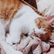 ヒメ日記 2025/03/13 23:21 投稿 高梨 ミセスの手ほどき