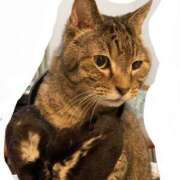 ヒメ日記 2025/04/16 23:44 投稿 高梨 ミセスの手ほどき