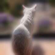 ヒメ日記 2025/04/21 23:00 投稿 高梨 ミセスの手ほどき