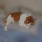 ヒメ日記 2025/04/26 21:38 投稿 高梨 ミセスの手ほどき