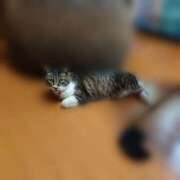 ヒメ日記 2025/04/27 21:06 投稿 高梨 ミセスの手ほどき