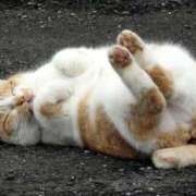 ヒメ日記 2025/05/01 23:02 投稿 高梨 ミセスの手ほどき