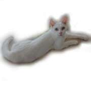 ヒメ日記 2025/05/04 22:01 投稿 高梨 ミセスの手ほどき