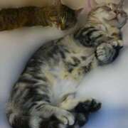 ヒメ日記 2025/05/06 22:03 投稿 高梨 ミセスの手ほどき