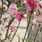 ヒメ日記 2025/06/01 21:06 投稿 高梨 ミセスの手ほどき