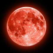 ヒメ日記 2025/06/10 23:13 投稿 高梨 ミセスの手ほどき