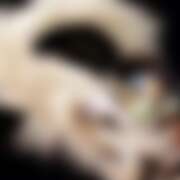 ヒメ日記 2025/06/22 19:05 投稿 高梨 ミセスの手ほどき