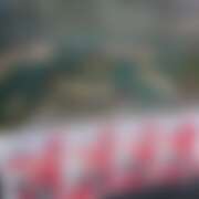 ヒメ日記 2025/08/30 20:19 投稿 高梨 ミセスの手ほどき