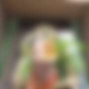 ヒメ日記 2025/11/11 20:50 投稿 高梨 ミセスの手ほどき