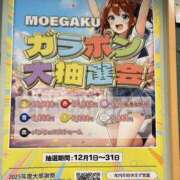 ヒメ日記 2025/11/19 00:25 投稿 いのり☆男性経験ほぼ無し！？ 妹系イメージSOAP萌えフードル学園 大宮本校