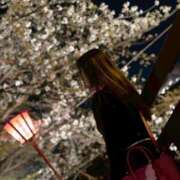 ヒメ日記 2025/04/10 15:23 投稿 りょう 40分7600円 回春性感メンズエステ猫の手 尾張一宮