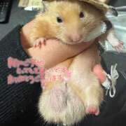 ヒメ日記 2025/06/02 22:32 投稿 みつき 一夜の華