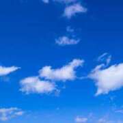 ヒメ日記 2025/06/10 03:38 投稿 苺ショートケーキ お取り寄せスイーツ 女の子市場