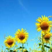 ヒメ日記 2025/07/14 16:28 投稿 苺ショートケーキ お取り寄せスイーツ 女の子市場