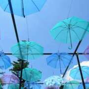 ヒメ日記 2025/08/12 18:38 投稿 苺ショートケーキ お取り寄せスイーツ 女の子市場