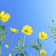 ヒメ日記 2025/08/26 15:48 投稿 苺ショートケーキ お取り寄せスイーツ 女の子市場