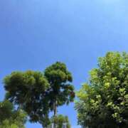 ヒメ日記 2025/09/02 15:48 投稿 苺ショートケーキ お取り寄せスイーツ 女の子市場