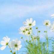 ヒメ日記 2025/10/27 15:58 投稿 苺ショートケーキ お取り寄せスイーツ 女の子市場