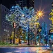 苺ショートケーキ 今日のお礼 お取り寄せスイーツ 女の子市場