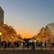 苺ショートケーキ 2025年 お取り寄せスイーツ 女の子市場