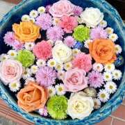 ヒメ日記 2026/01/13 18:21 投稿 苺ショートケーキ お取り寄せスイーツ 女の子市場