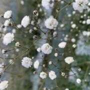 ヒメ日記 2026/01/27 16:21 投稿 苺ショートケーキ お取り寄せスイーツ 女の子市場