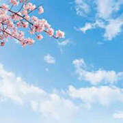 ヒメ日記 2026/02/17 12:01 投稿 苺ショートケーキ お取り寄せスイーツ 女の子市場