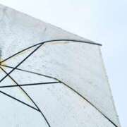 ヒメ日記 2026/03/03 16:21 投稿 苺ショートケーキ お取り寄せスイーツ 女の子市場