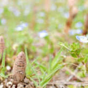 ヒメ日記 2026/03/31 16:02 投稿 苺ショートケーキ お取り寄せスイーツ 女の子市場
