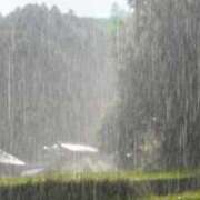 ヒメ日記 2025/07/11 02:08 投稿 ロールケーキ お取り寄せスイーツ 女の子市場