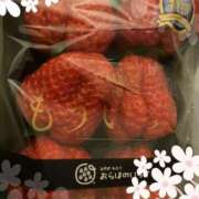 ヒメ日記 2025/02/28 07:33 投稿 しいな 手コキガールズコレクション