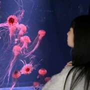 ヒメ日記 2025/04/26 00:43 投稿 しいな 手コキガールズコレクション