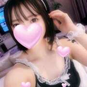 ヒメ日記 2025/06/09 20:23 投稿 しいな 手コキガールズコレクション