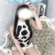 ヒメ日記 2025/03/26 14:11 投稿 飯田あみ 渋谷ミルク