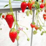 ヒメ日記 2025/04/17 12:52 投稿 加藤 えり CASA BIANCA（カーサ・ビアンカ）