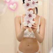 ヒメ日記 2025/03/27 14:31 投稿 井上めぐみ ミセスハンズ