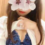 ヒメ日記 2025/04/04 15:20 投稿 井上めぐみ ミセスハンズ