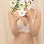 ヒメ日記 2025/07/25 20:12 投稿 井上めぐみ ミセスハンズ