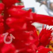 ヒメ日記 2025/03/02 00:05 投稿 ひかる 中洲秘密倶楽部